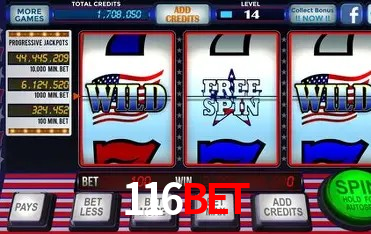 API Integration 116Bet